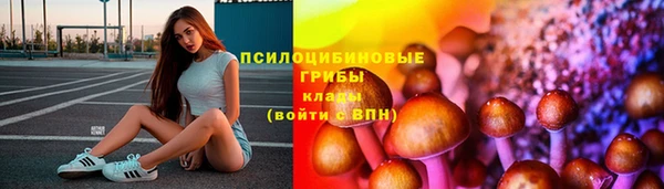 МДПВ Саяногорск