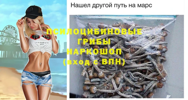 тгк Рославль