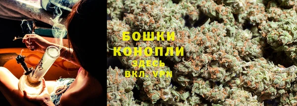 спиды Ростов