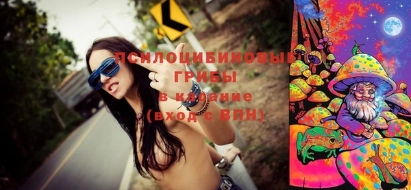 спиды Ростов