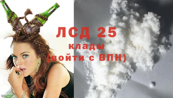спиды Ростов