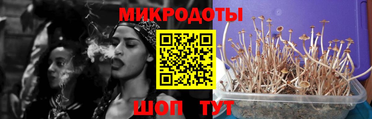 Сегежа  Галлюциногенные грибы GOLDEN TEACHER  Вход с VPN 